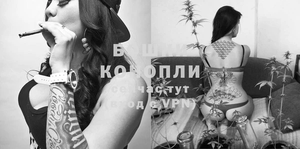 spice Ростов