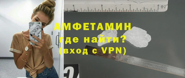 гидра Рославль