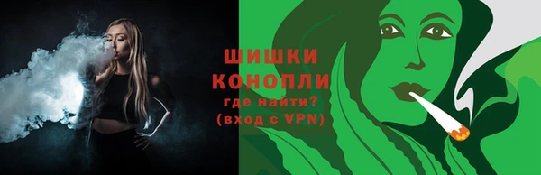 гидра Рославль