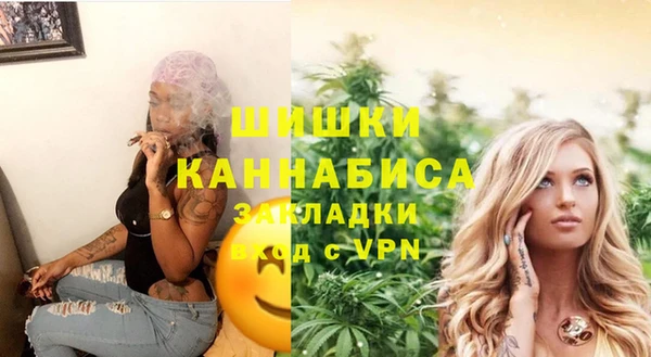 гидра Рославль