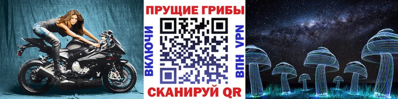 гидра онион  Курск  Галлюциногенные грибы GOLDEN TEACHER 