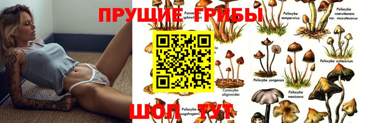 купить закладку  Вход с VPN  Курск  Галлюциногенные грибы мицелий 