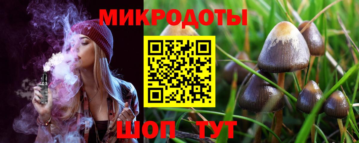 Псилоцибиновые грибы прущие грибы Курск